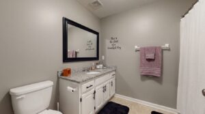 Gray bathroom wall with a script decal, a no-drill way to decorate bathroom walls